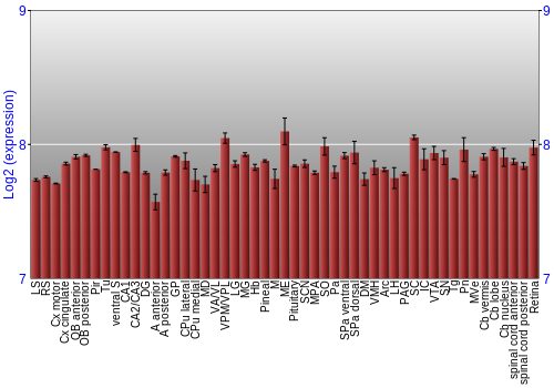 Expression graph