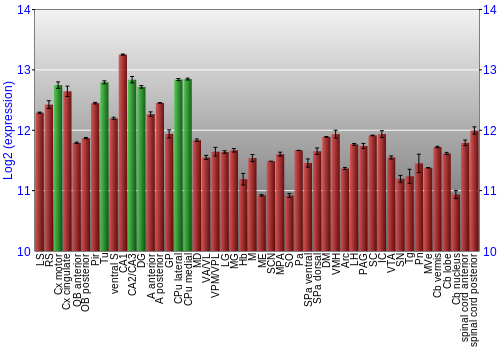 Multi-state expression graph