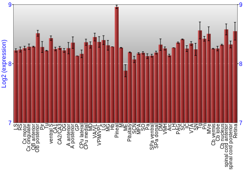 Expression graph