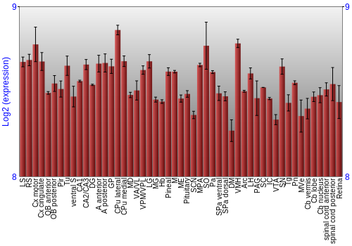 Expression graph