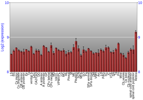 Expression graph