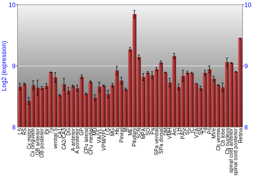 Expression graph