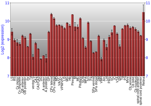 Expression graph