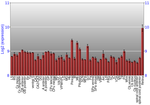 Expression graph