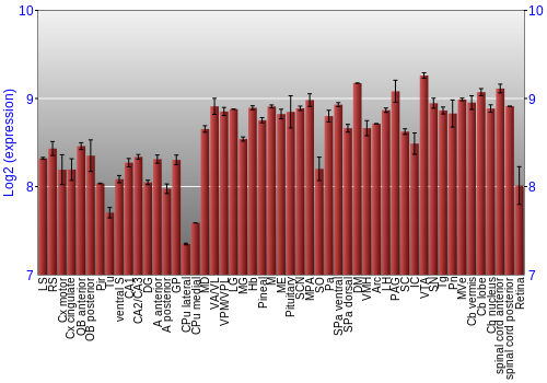 Expression graph