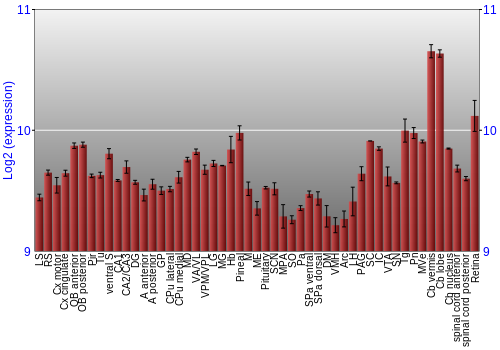 Expression graph