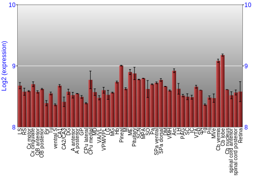 Expression graph