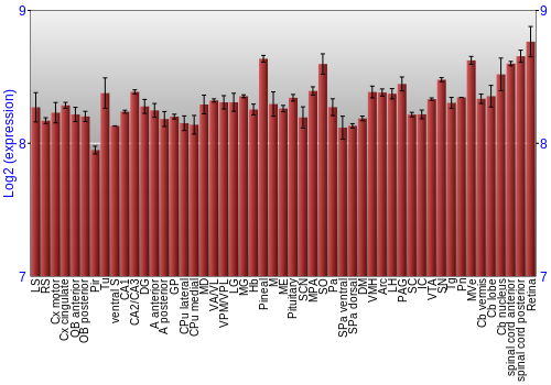 Expression graph