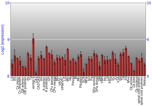 Expression graph