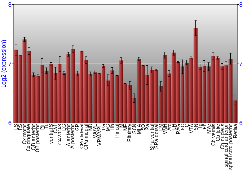 Expression graph