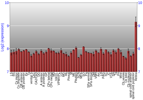 Expression graph
