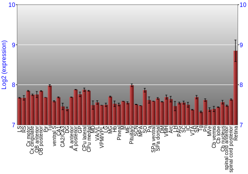 Expression graph