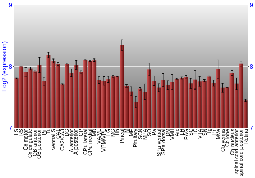 Expression graph