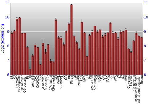 Expression graph