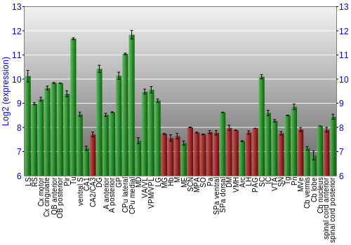 Multi-state expression graph
