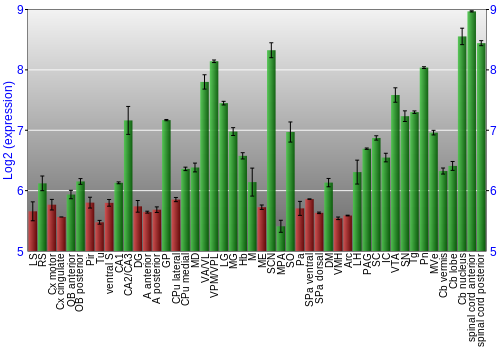 Multi-state expression graph