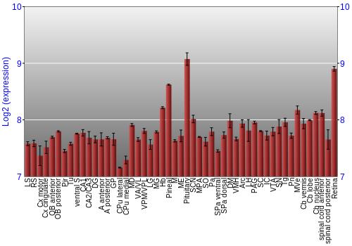 Expression graph