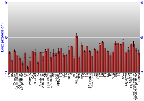 Expression graph