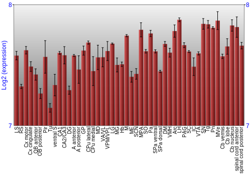 Multi-state expression graph