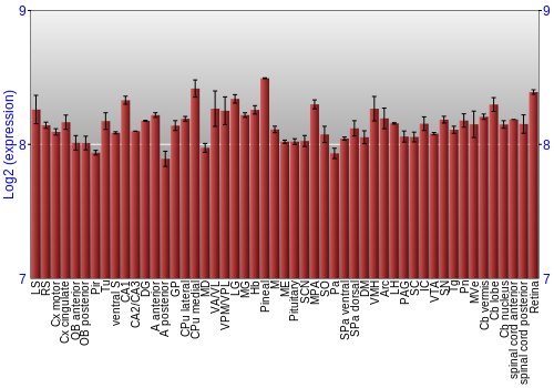 Expression graph