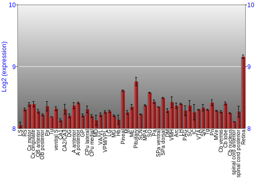 Expression graph