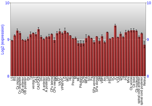 Expression graph