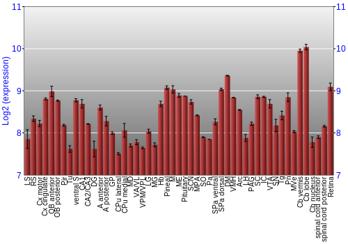 Expression graph