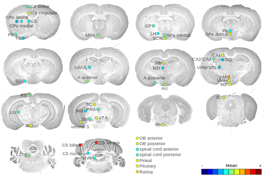 Expression map