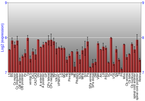 Expression graph