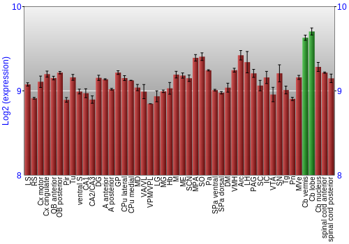 Multi-state expression graph