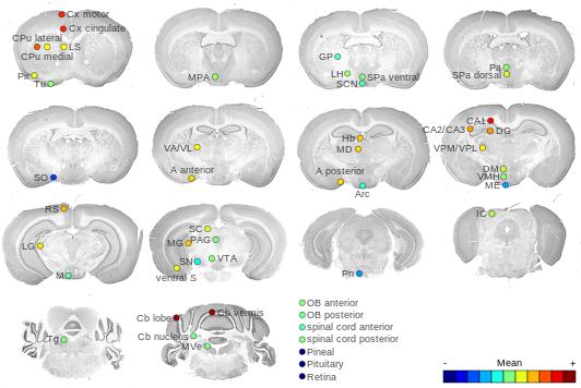 Expression map