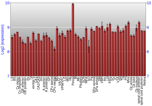 Expression graph