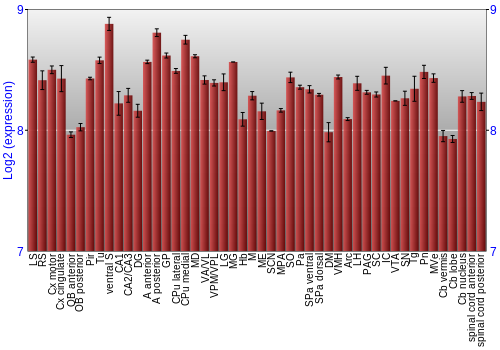 Multi-state expression graph