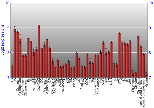 Expression graph