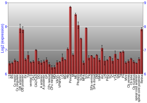 Expression graph