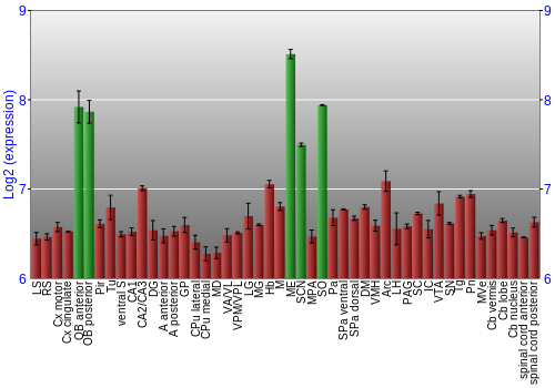 Multi-state expression graph