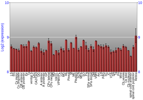 Expression graph