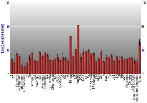 Expression graph