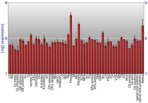 Expression graph