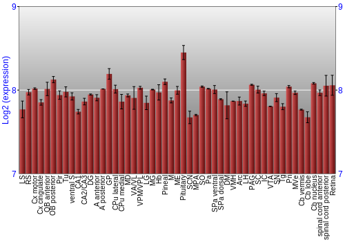 Expression graph