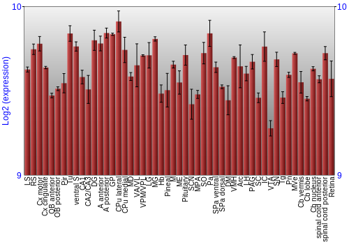 Expression graph