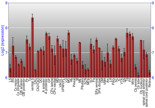 Expression graph