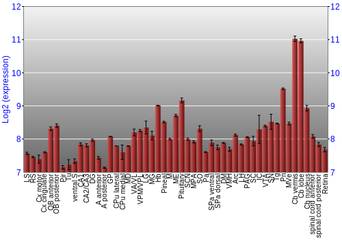 Expression graph