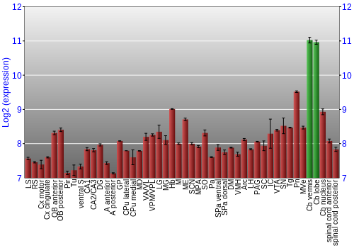 Multi-state expression graph