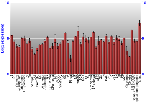 Expression graph