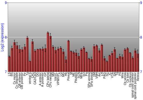 Expression graph