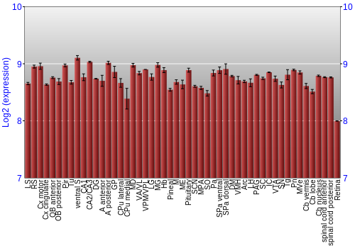 Expression graph