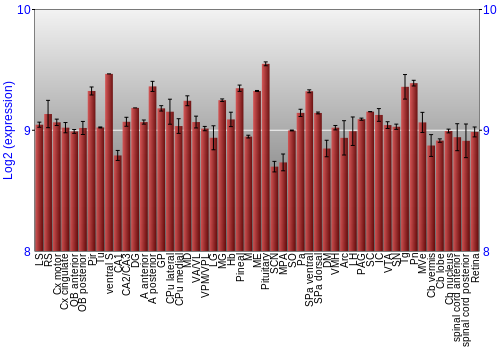 Expression graph