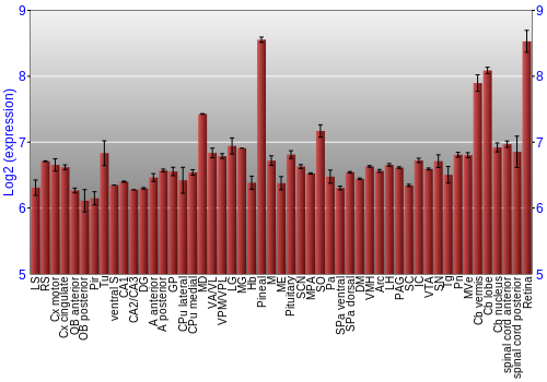 Expression graph