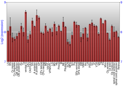 Expression graph